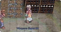 WeaponExpertBK.png